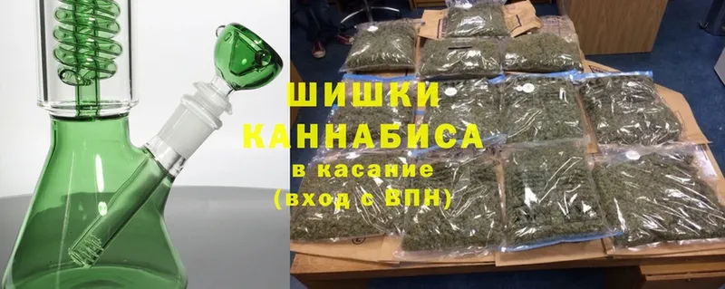 цена наркотик  Карабаново  Бошки марихуана White Widow 